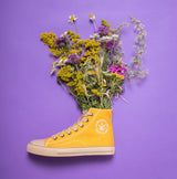 BILLY HEMP SNEAKER SUN